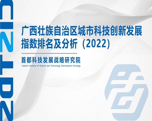 看黄色女人操屄【成果发布】广西壮族自治区城市科技创新发展指数排名及分析（2022）